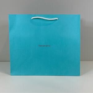 Tiffany & Co. Medium Gift Bag